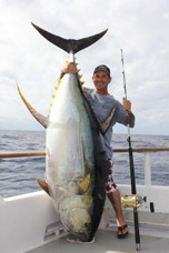 The Largest Yellowfin Tuna ever caught!